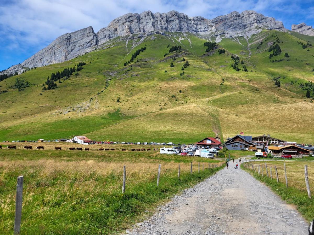 Appartement Cosy Face Aux Aravis Le Grand-Bornand Dış mekan fotoğraf