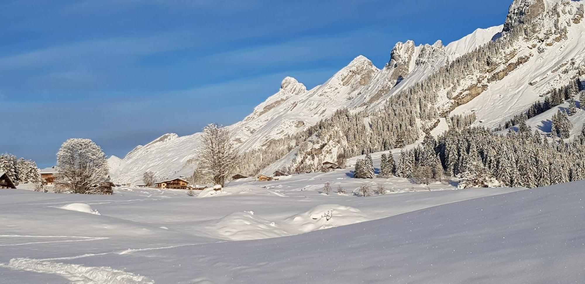 Appartement Cosy Face Aux Aravis Le Grand-Bornand Dış mekan fotoğraf