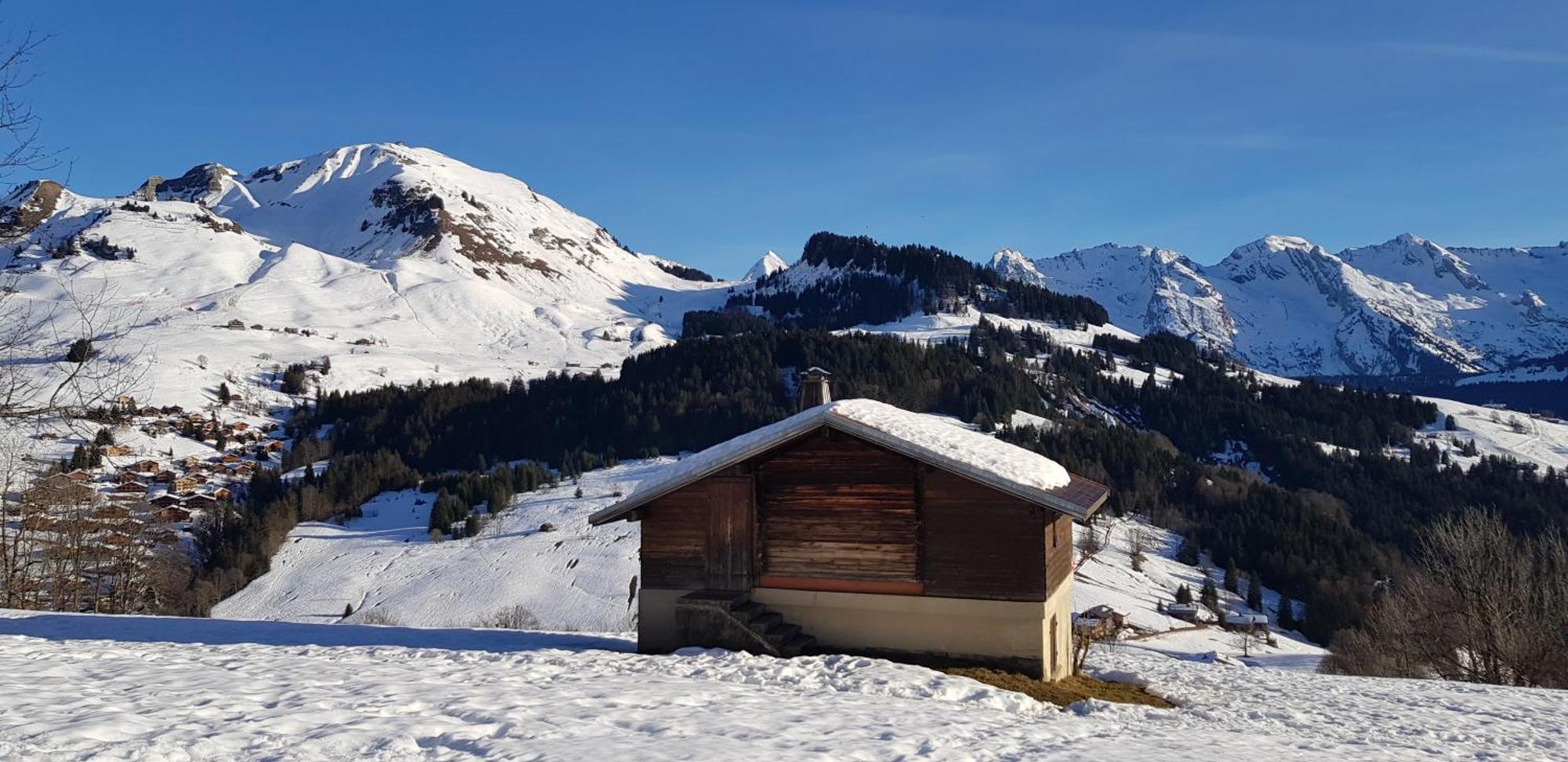 Appartement Cosy Face Aux Aravis Le Grand-Bornand Dış mekan fotoğraf