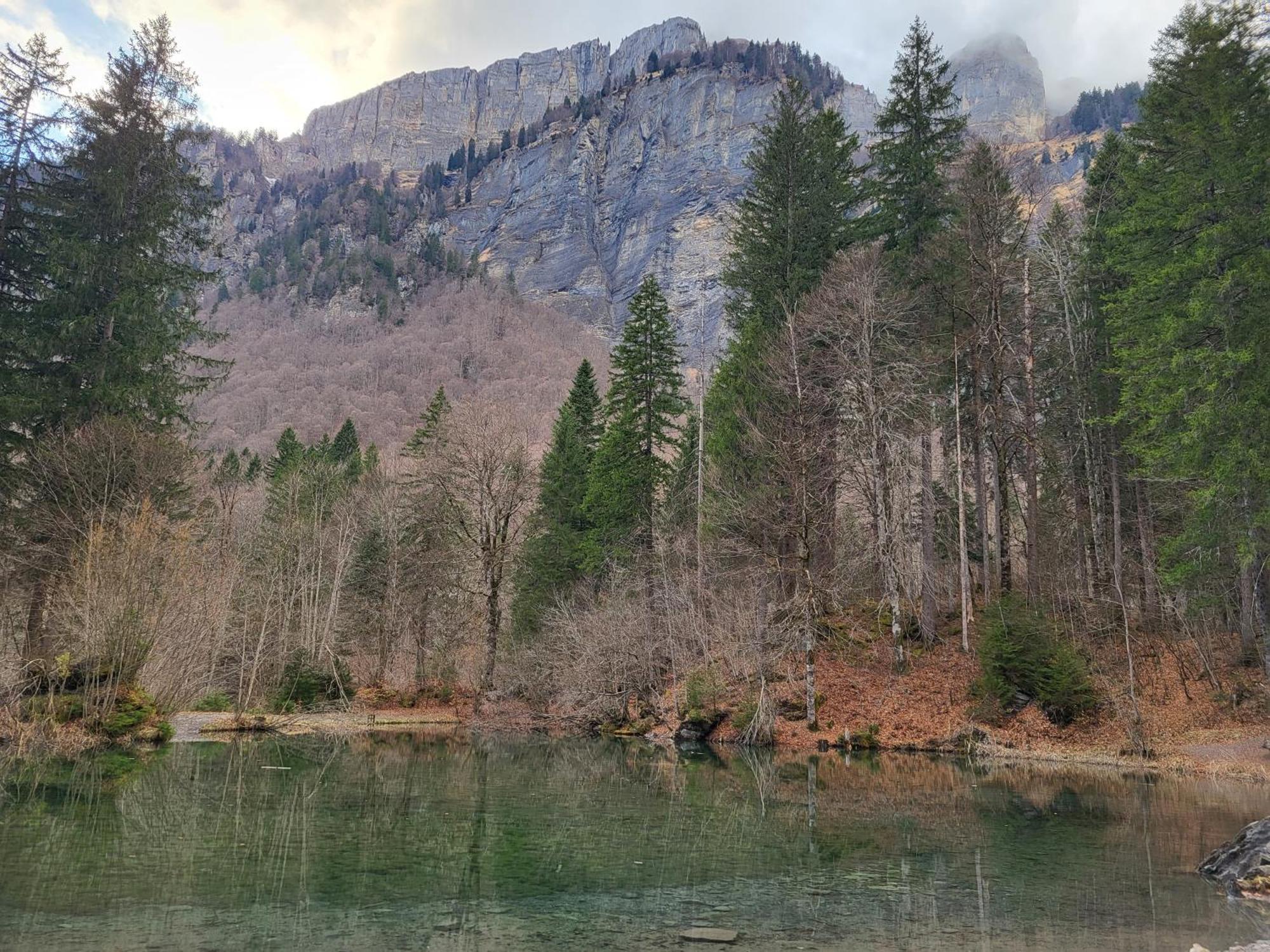 Appartement Cosy Face Aux Aravis Le Grand-Bornand Dış mekan fotoğraf